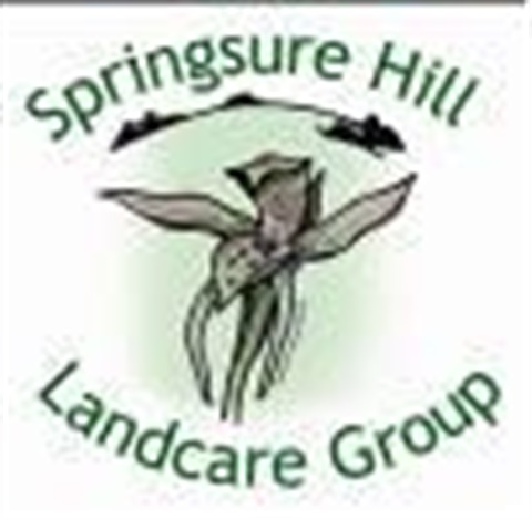 Springsure-Hill-logo