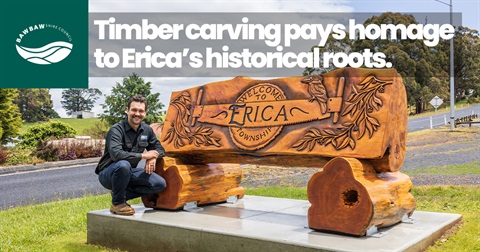 Erica Timber Carving_MR.jpg