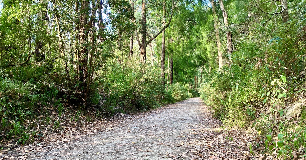 Rokeby to Noojee Trail