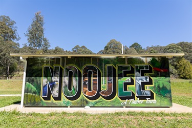 Noojee Resilience Mural - Photo 2