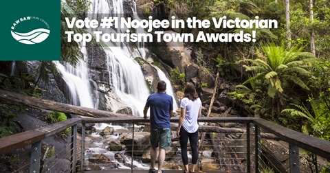 Noojee Tourism MR.jpg