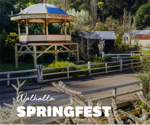 Walhalla Springfest.png